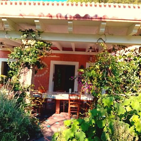 הוילה San Gregorio  La Fattoria Delle Tartarughe מראה חיצוני תמונה