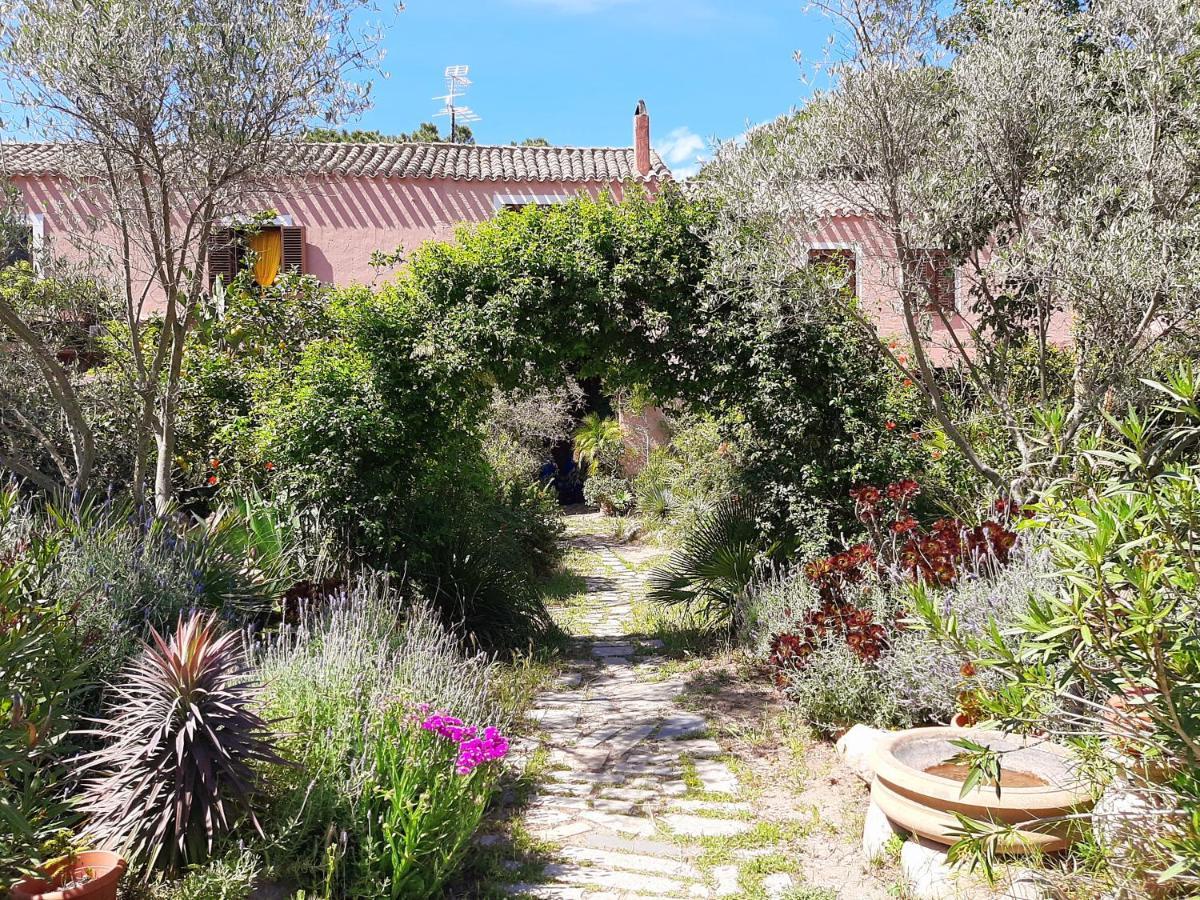 הוילה San Gregorio  La Fattoria Delle Tartarughe מראה חיצוני תמונה