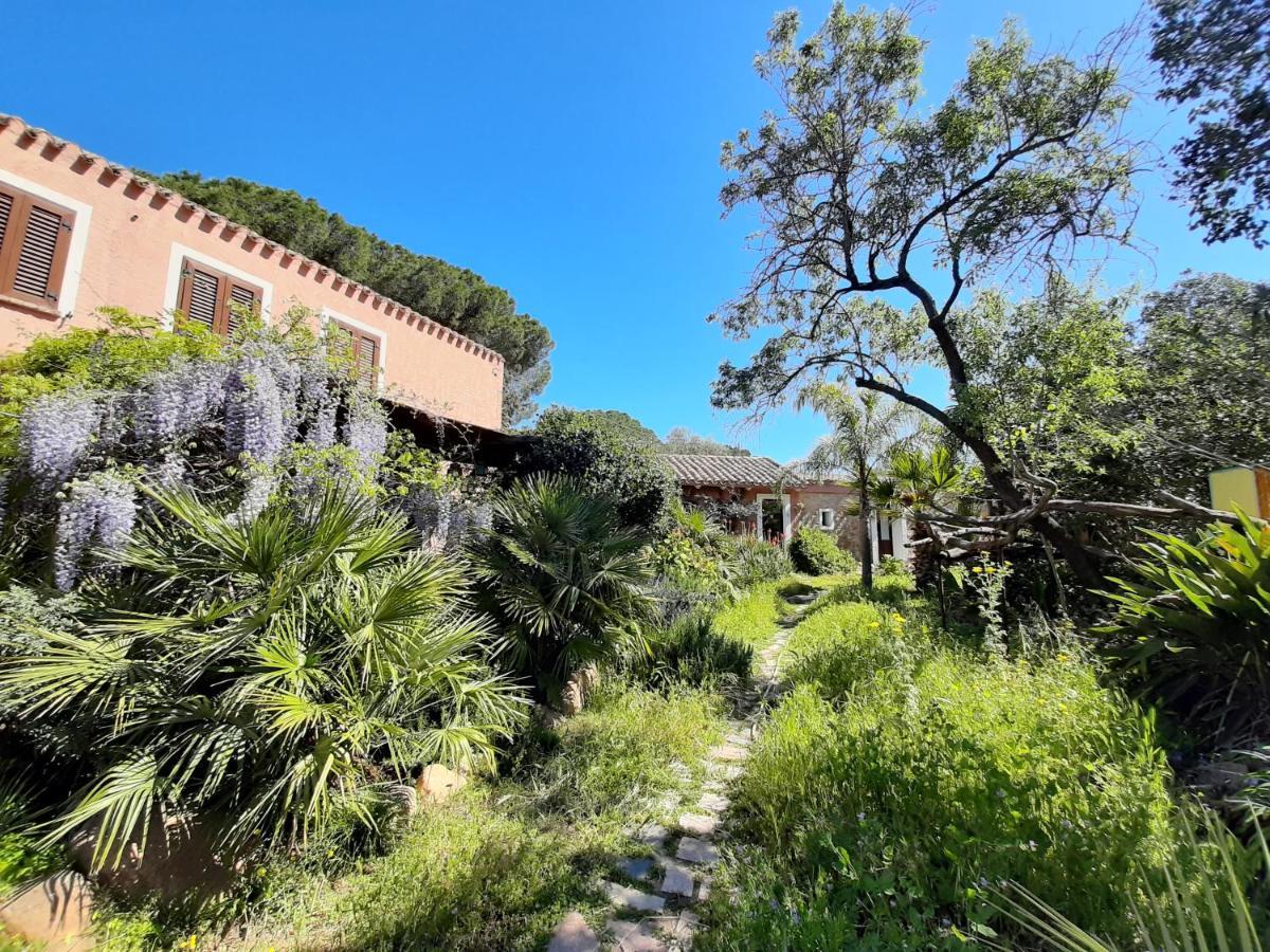 הוילה San Gregorio  La Fattoria Delle Tartarughe מראה חיצוני תמונה