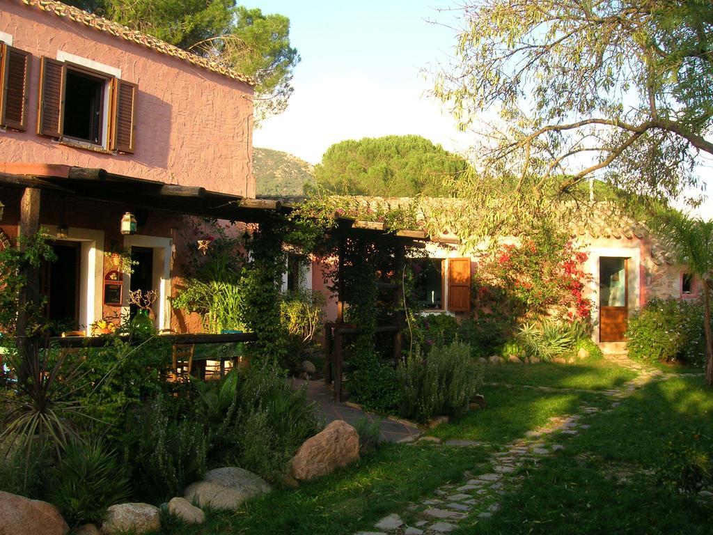 הוילה San Gregorio  La Fattoria Delle Tartarughe מראה חיצוני תמונה