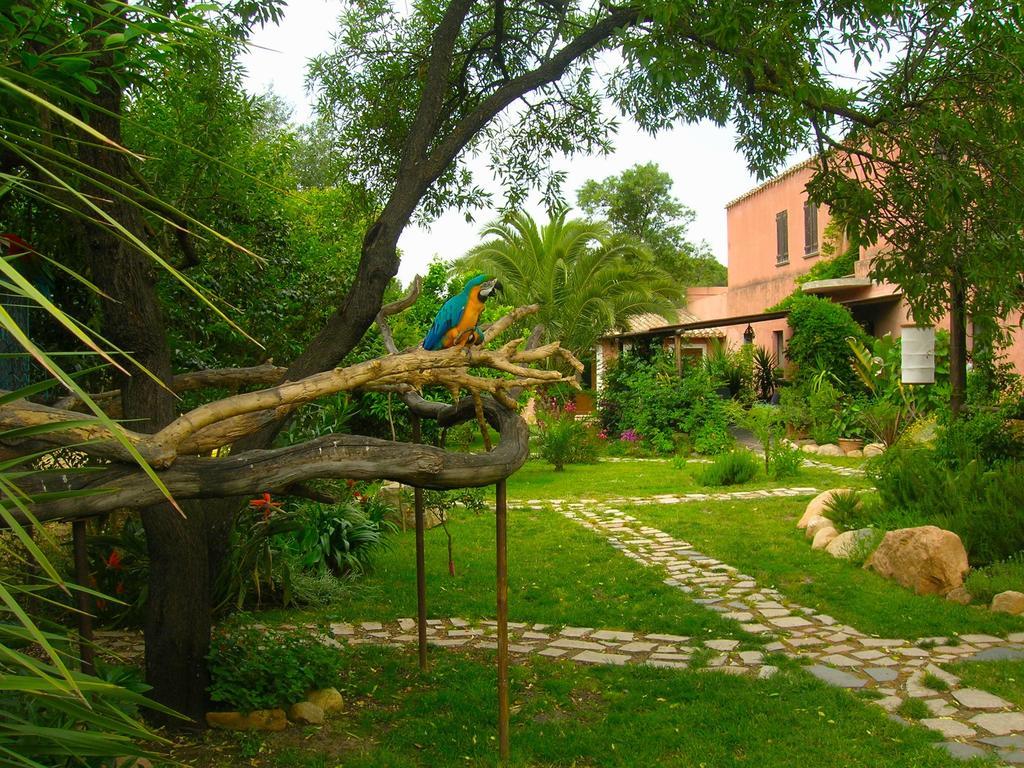 הוילה San Gregorio  La Fattoria Delle Tartarughe מראה חיצוני תמונה
