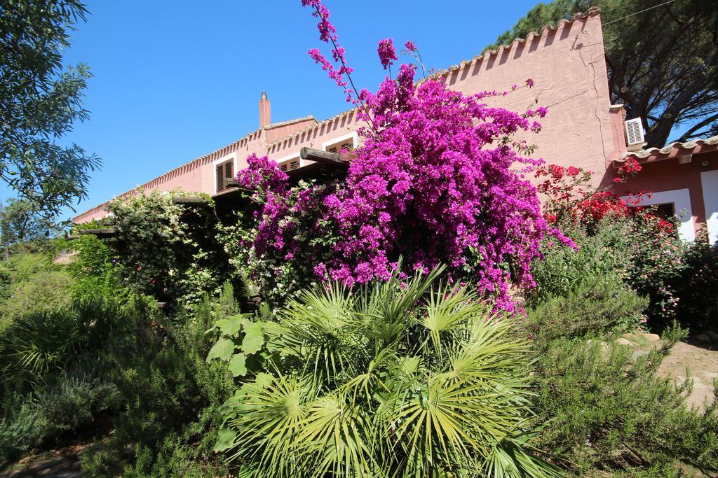 הוילה San Gregorio  La Fattoria Delle Tartarughe מראה חיצוני תמונה