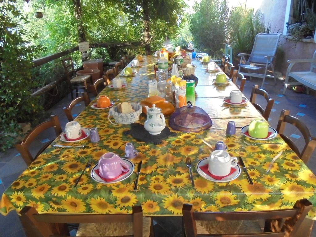 הוילה San Gregorio  La Fattoria Delle Tartarughe מראה חיצוני תמונה